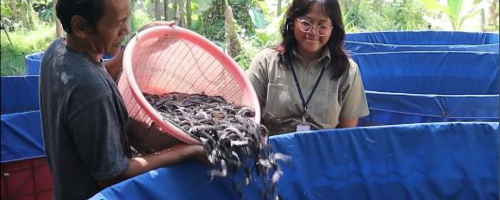 Community Development PIK2 Bersama Kelompok Sejahtera Jaya Desa Lemo, Teluk Naga, Melakukan Tebar Bibit Ikan Sebanyak 20.000 Ekor Pada Program Ketapang "Ketahanan Pangan"