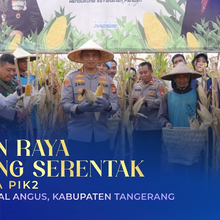 Panen Raya Jagung Serentak bersama PIK2 di Desa Tegal Angus
