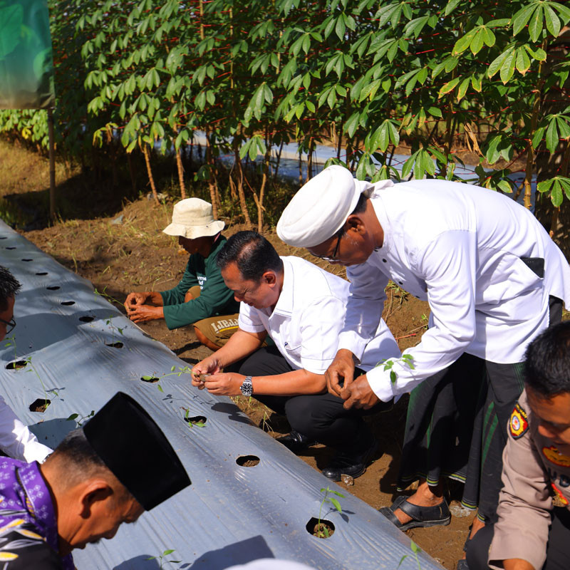 Seremoni Tanam Perdana Lahan Desa Kohod, Menggerakkan Pertanian Menuju Kemandirian Pangan