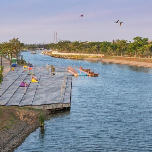Bird Sanctuary PIK2: Rumah Baru untuk Burung-burung di Pesisir Jakarta