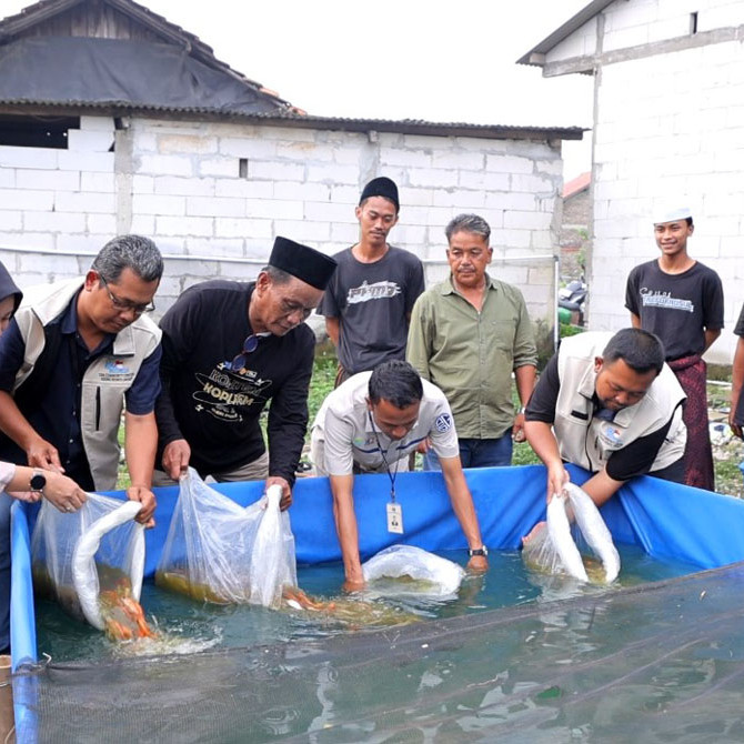 PIK2 DUKUNG BUDIDAYA IKAN DI DESA KAMPUNG BESAR DORONG KETAHANAN PANGAN DAN PEMBERDAYAAN MASYARAKAT