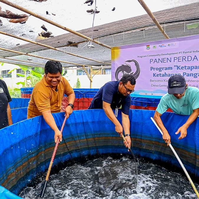 MENUJU KEMANDIRIAN PANGAN: SUKSES PANEN PERDANA LELE DI DESA LEMO