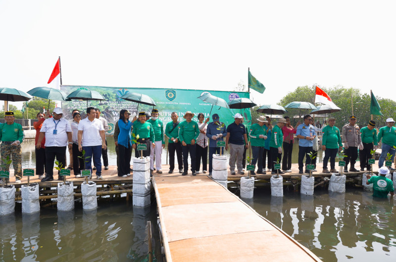 AGUNG SEDAYU GROUP BERSAMA WARGA BUMIPUTERA INDONESIA BERKOLABORASI PULIHKAN MANGROVE PESISIR